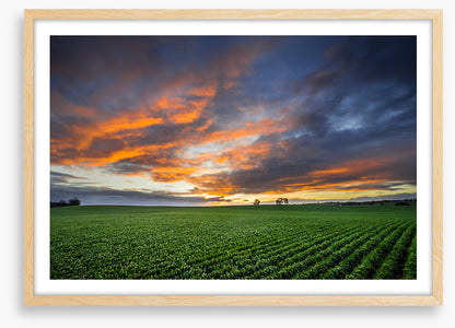 Just crops and clouds