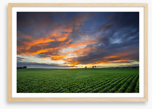 Just crops and clouds