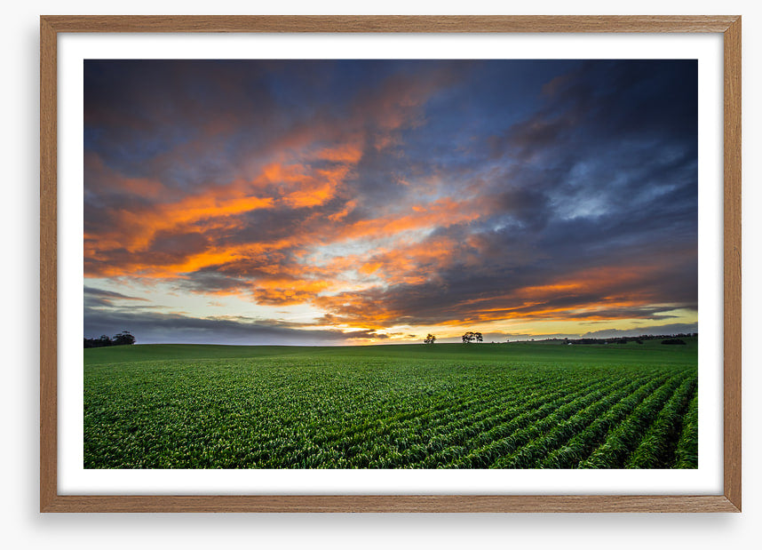 Just crops and clouds