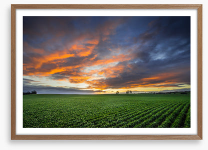 Just crops and clouds