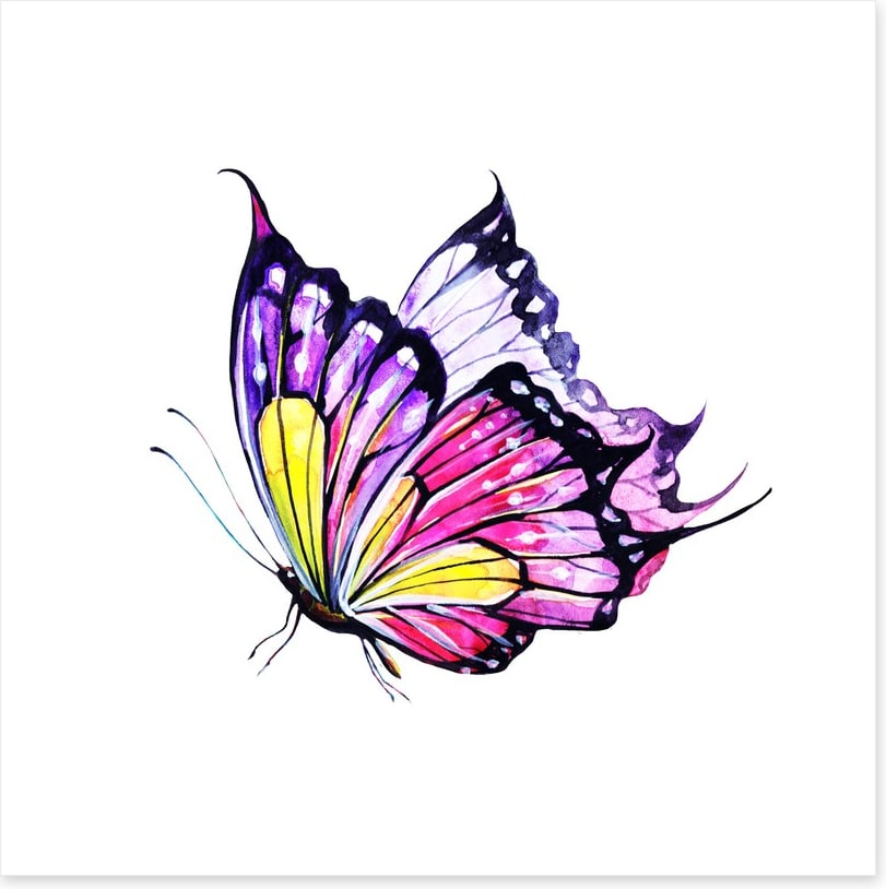 Violet flutter