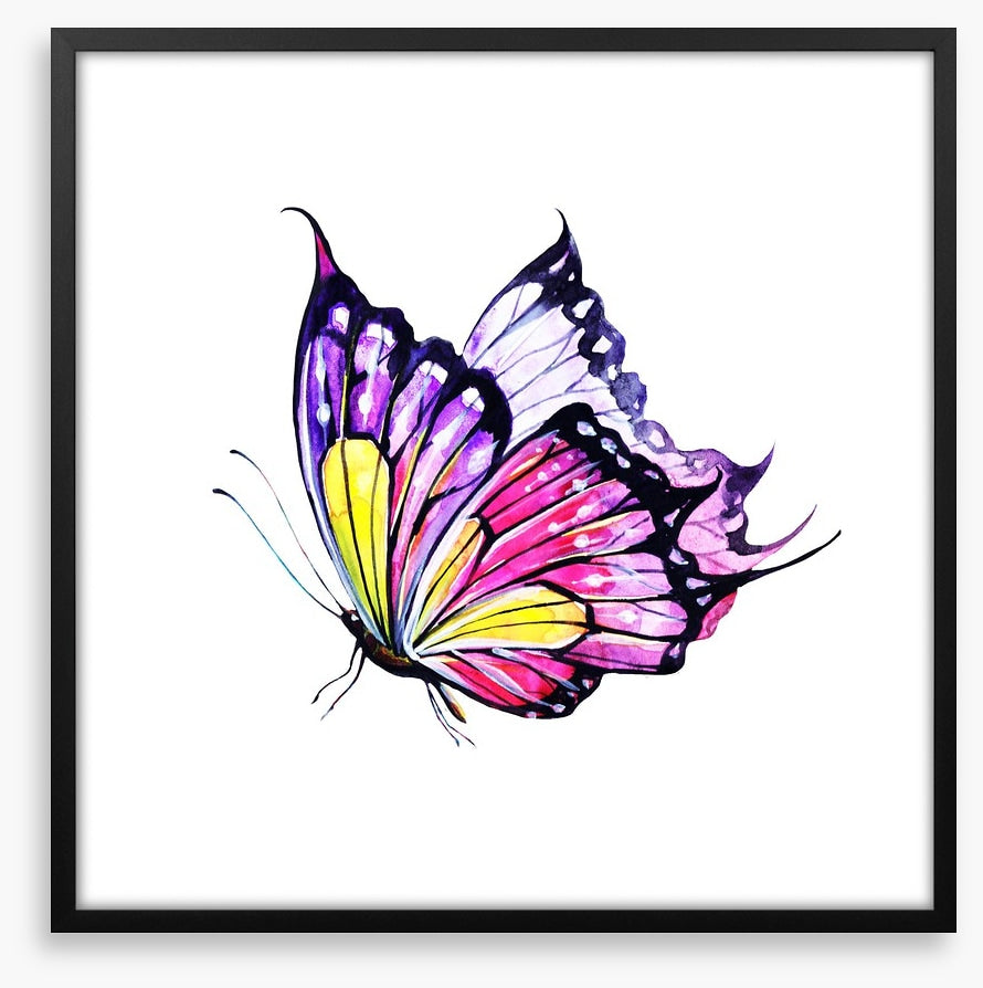 Violet flutter