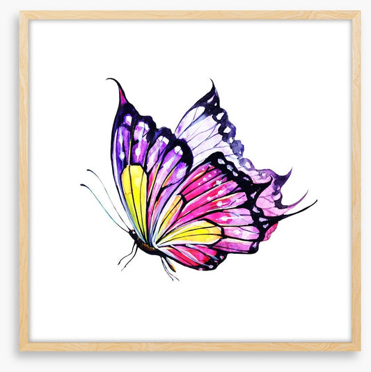 Violet flutter