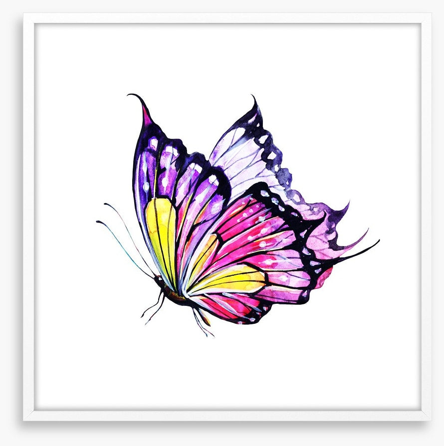 Violet flutter