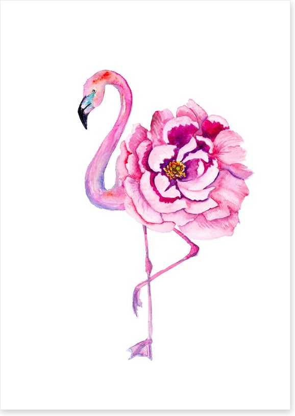 Flamingo bloom