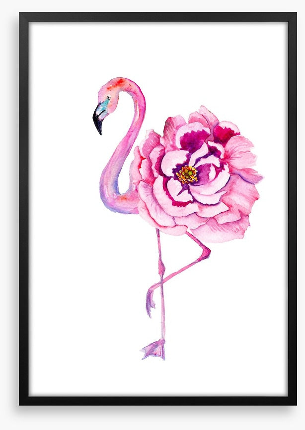 Flamingo bloom