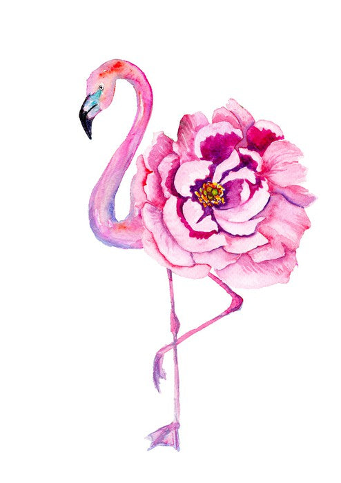 Flamingo bloom