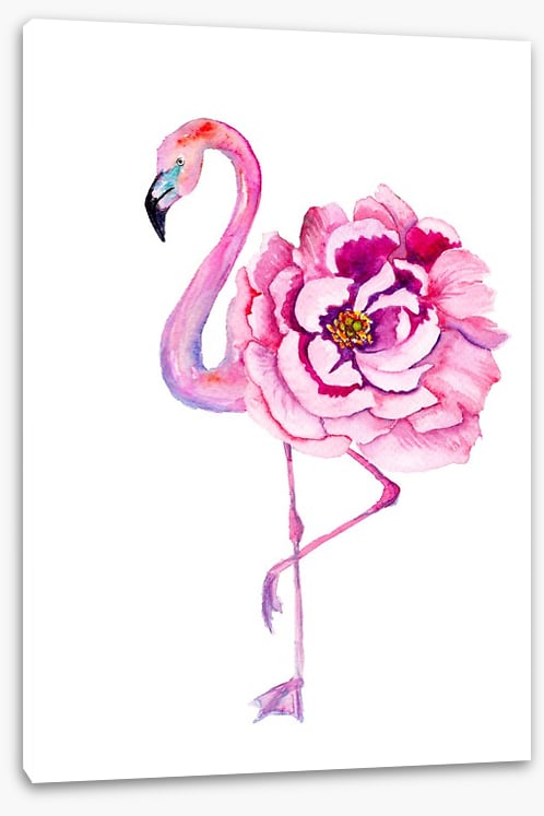 Flamingo bloom