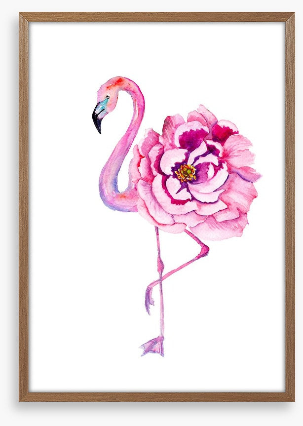 Flamingo bloom