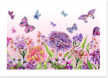 Butterflies in the iberis