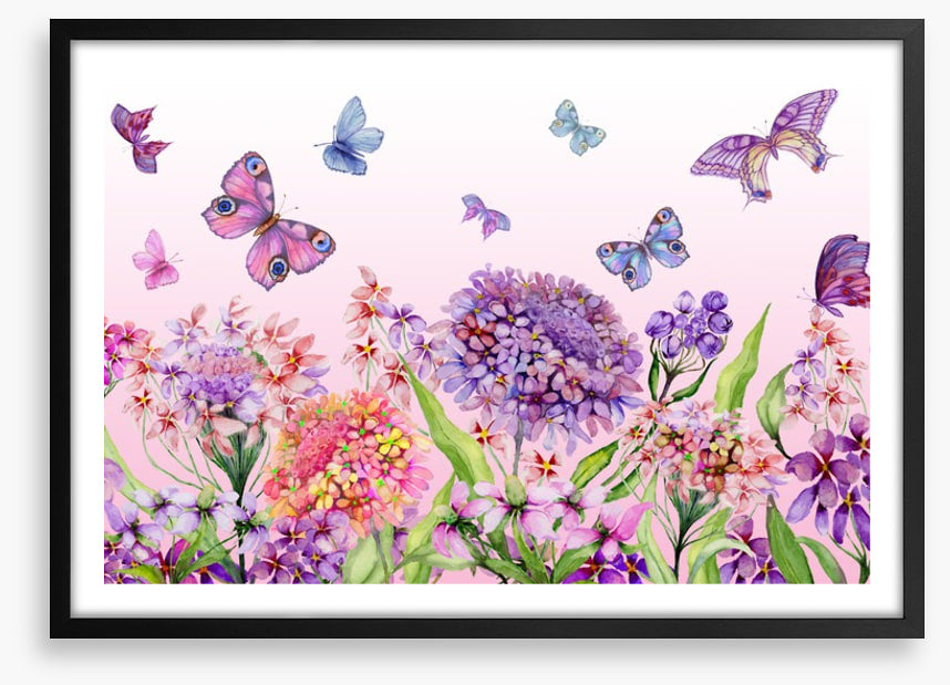 Butterflies in the iberis