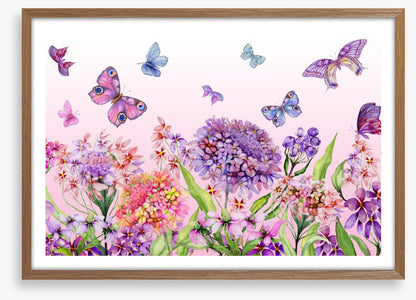 Butterflies in the iberis