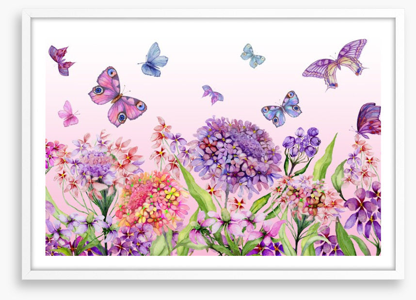 Butterflies in the iberis