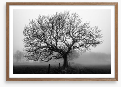 Bare bones