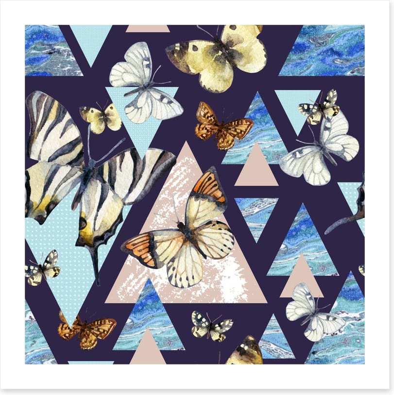 Flutter by night