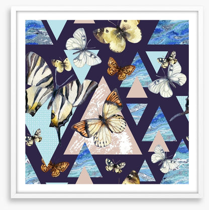 Flutter by night