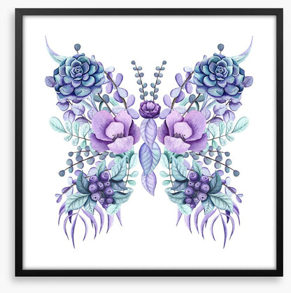 Succulent butterfly