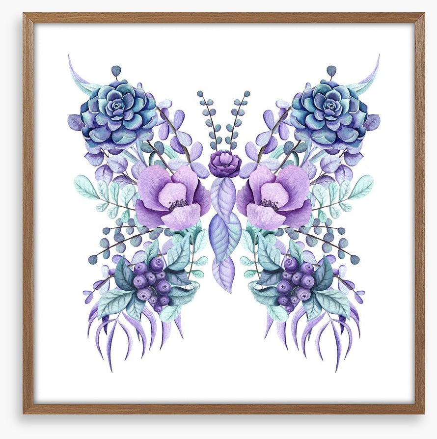 Succulent butterfly