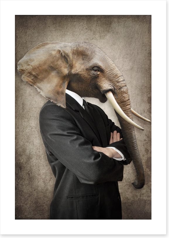 Tusk the leader