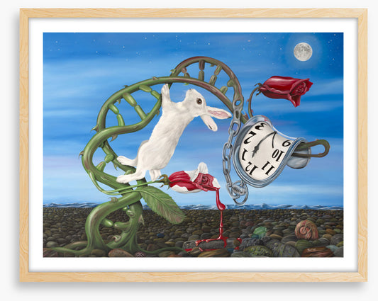 Alice meets Dali