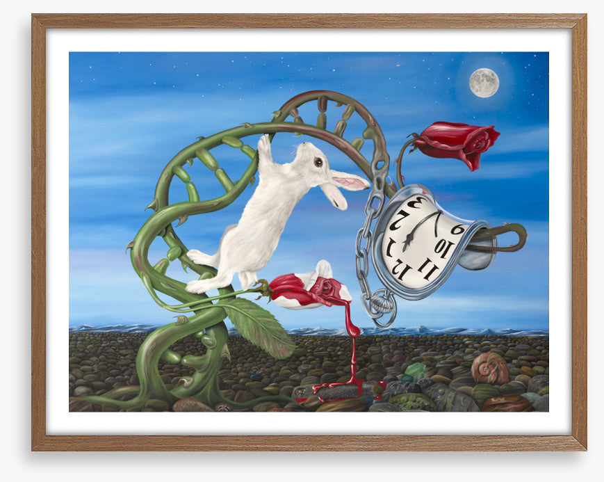 Alice meets Dali