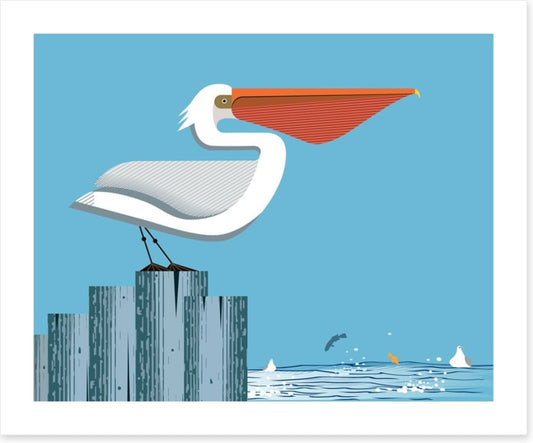 Pelican perch