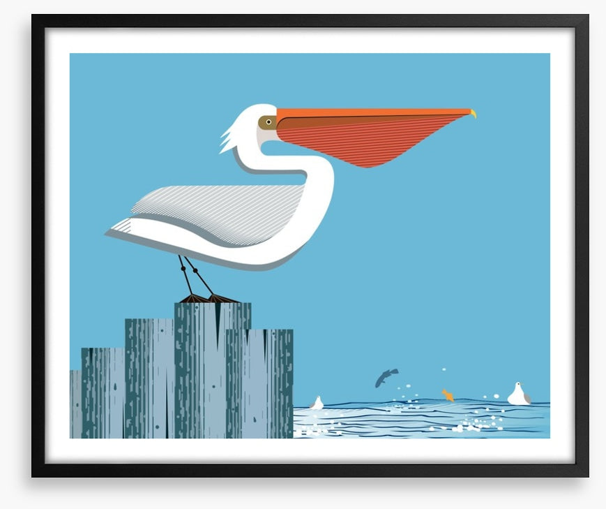 Pelican perch