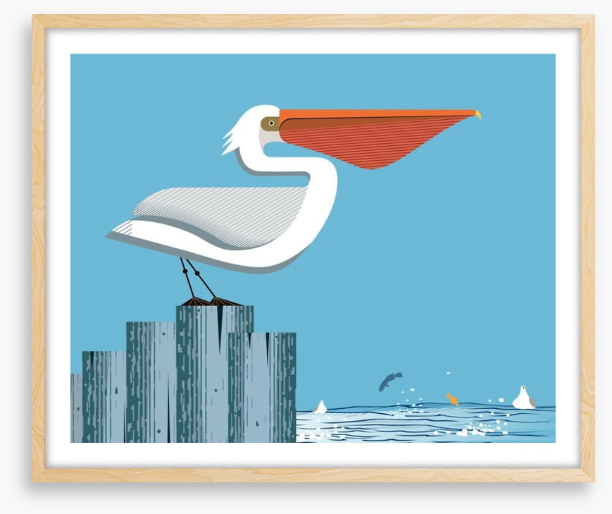 Pelican perch