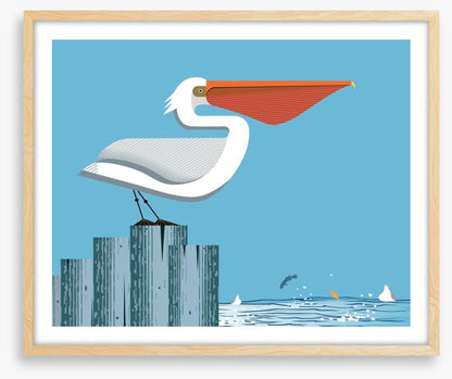 Pelican perch
