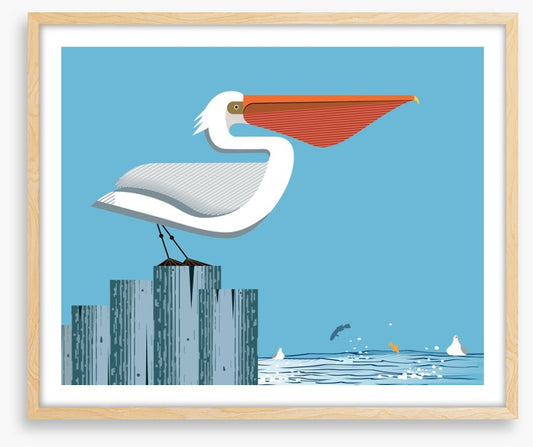 Pelican perch