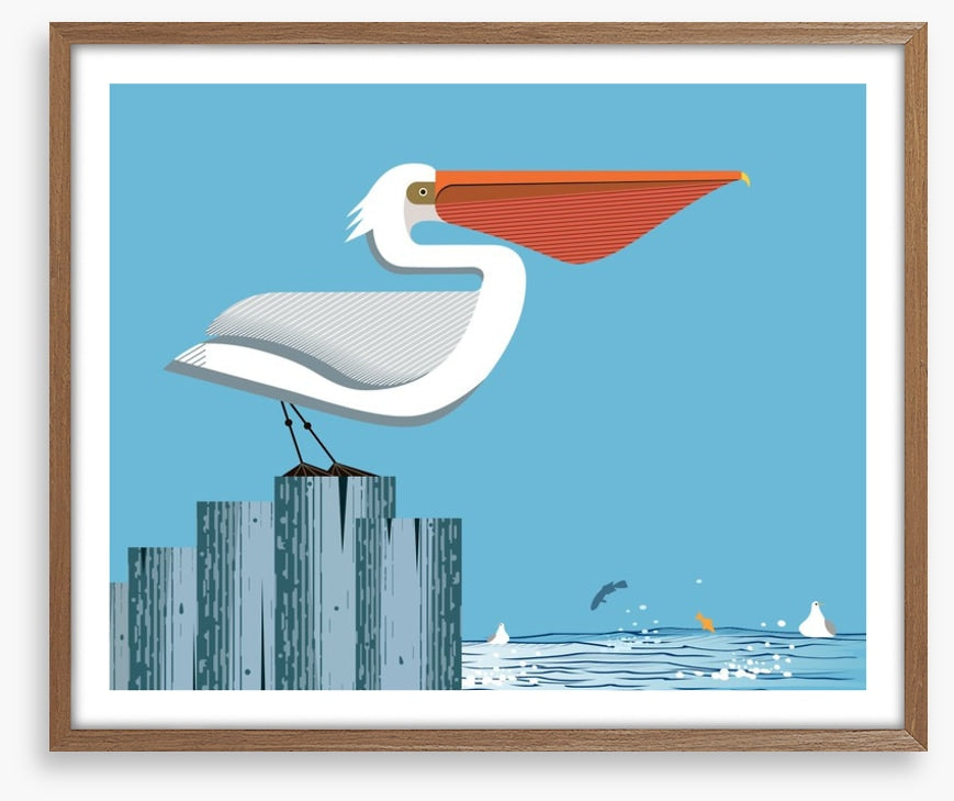Pelican perch