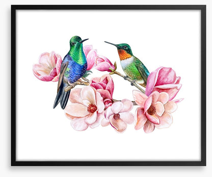 Humming in the magnolia