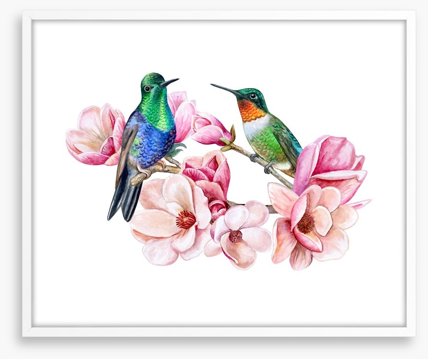Humming in the magnolia