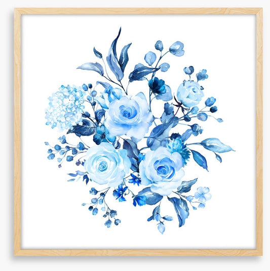 Sky blue blooms