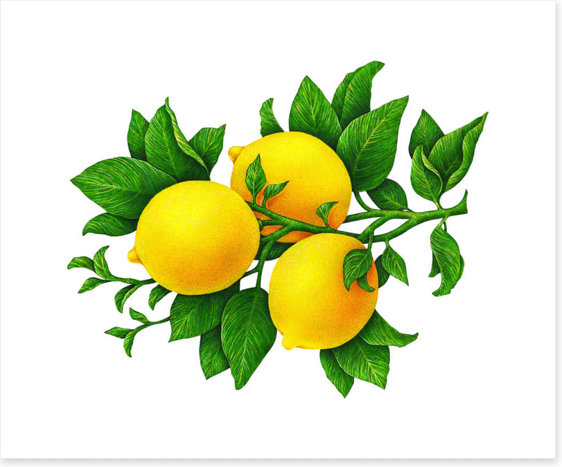 Three lemons