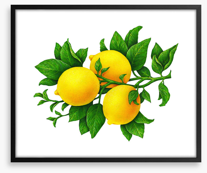 Three lemons