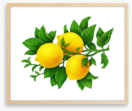 Three lemons