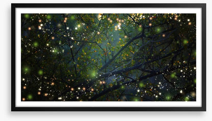 In the firefly forest