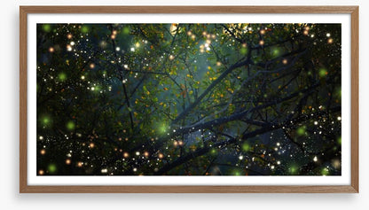 In the firefly forest