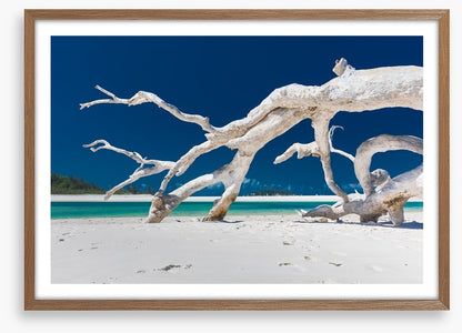 Whitehaven driftwood