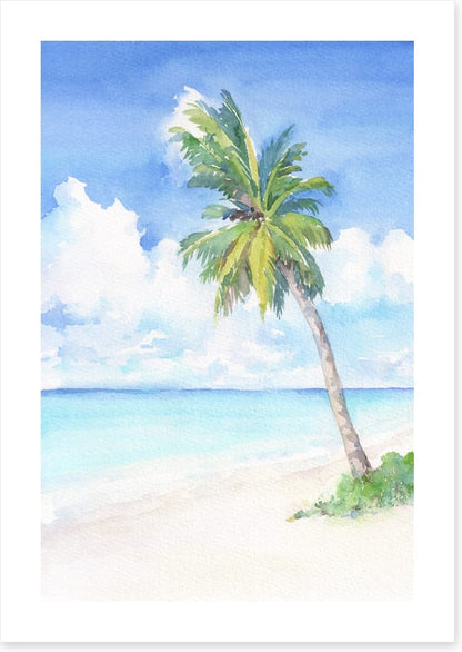 Blue bay palm