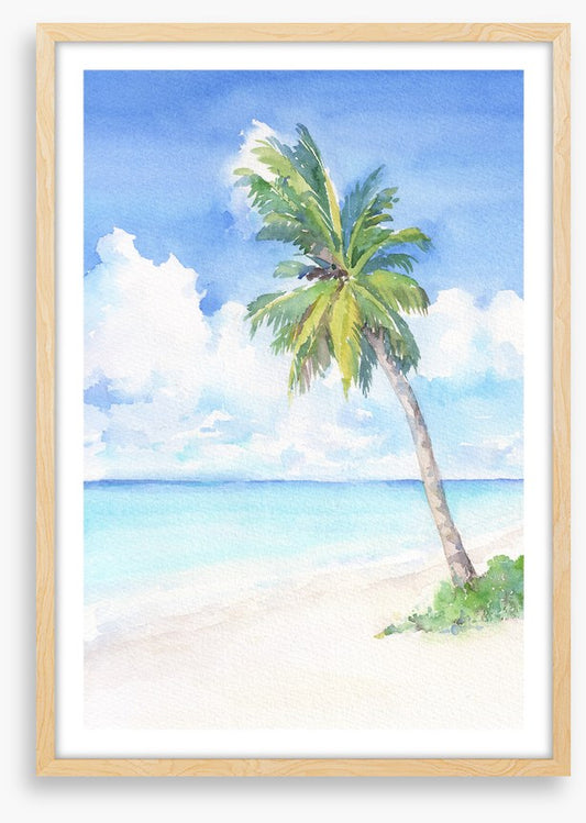 Blue bay palm