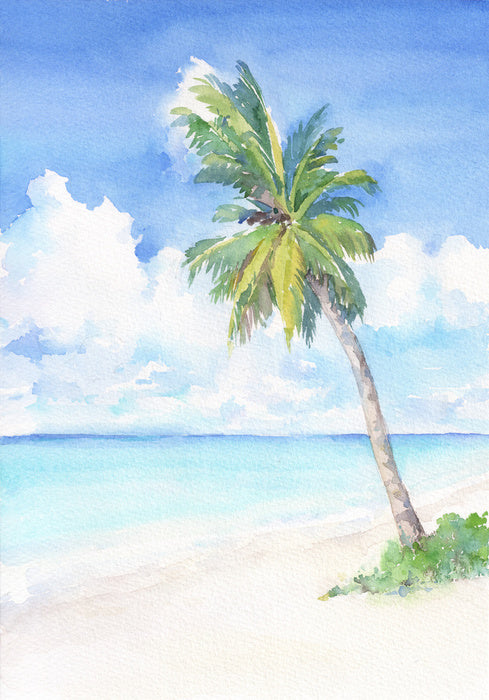 Blue bay palm