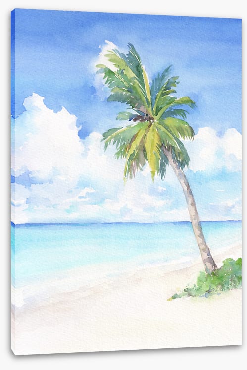 Blue bay palm