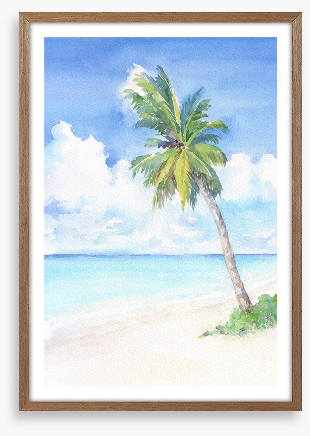 Blue bay palm
