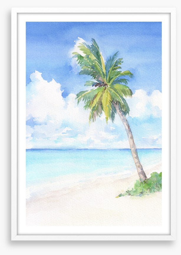 Blue bay palm