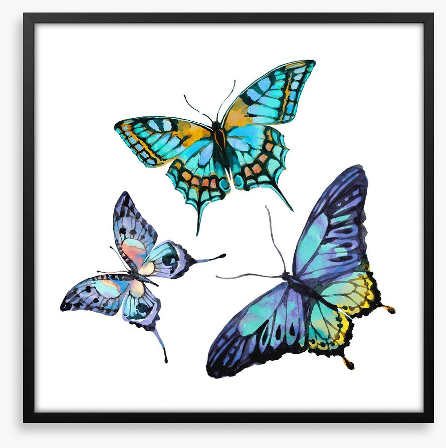 Butterflies