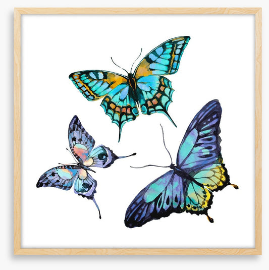 Butterflies