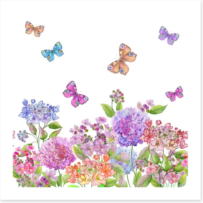 Candytuft garden