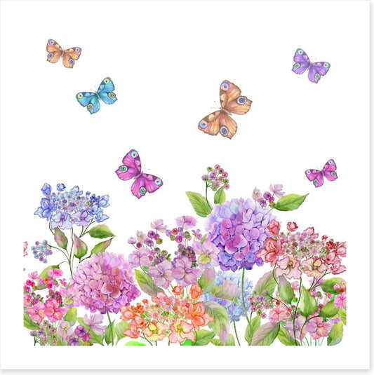 Candytuft garden